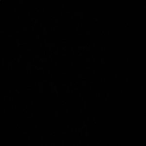 Meet your Posher, Cynthia